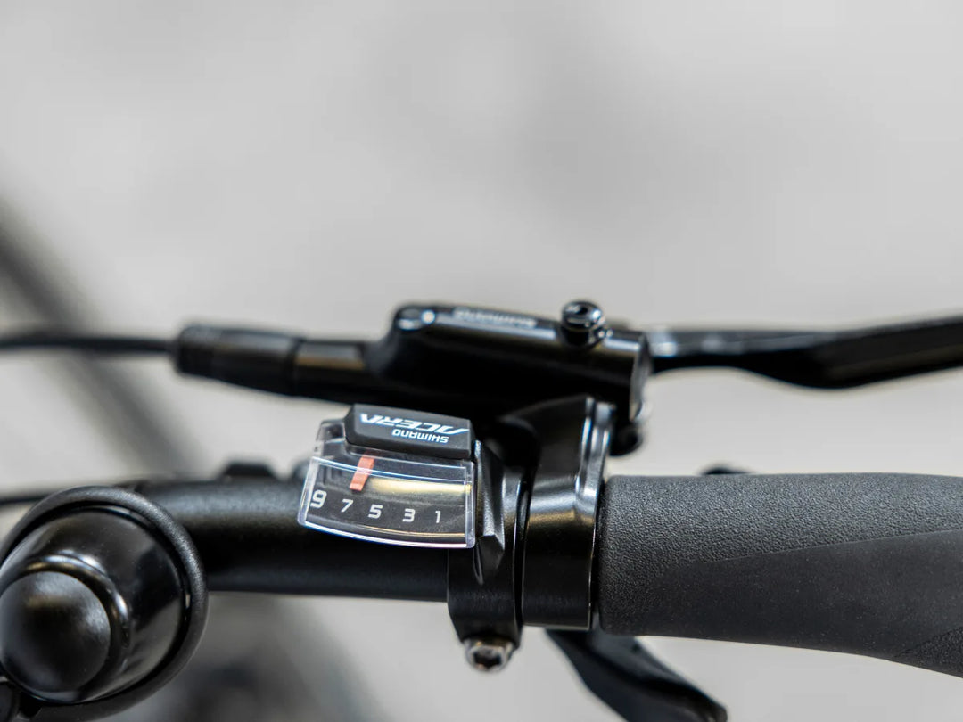 Trek Verve + 2 Stagger 2023