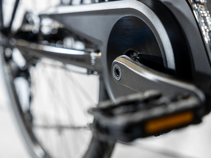 Trek Verve + 2 Stagger 2023