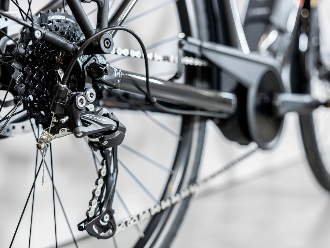 Trek Verve + 2 Stagger 2023