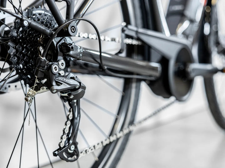Trek Verve + 2 Stagger 2023