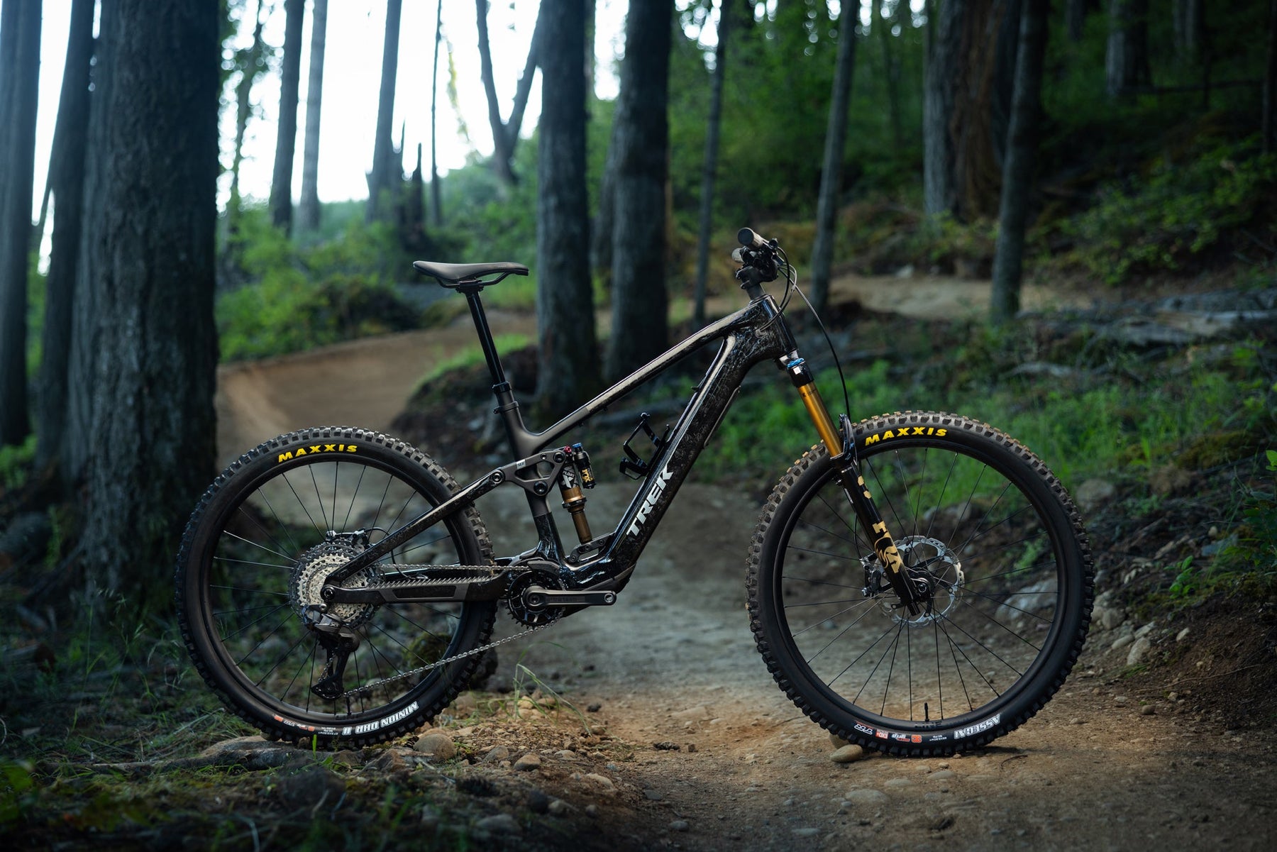 Trek Fuel+