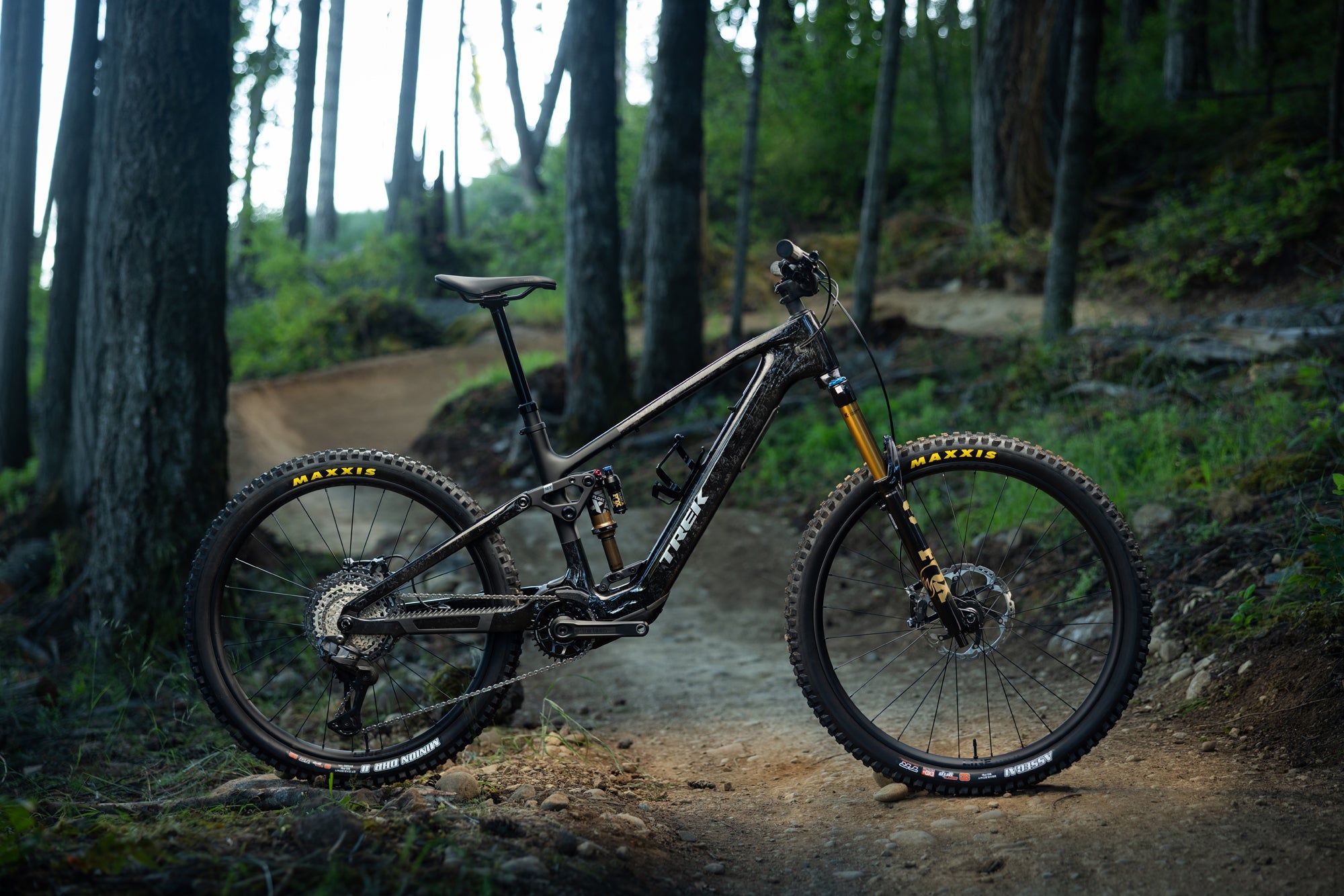 Trek Fuel+