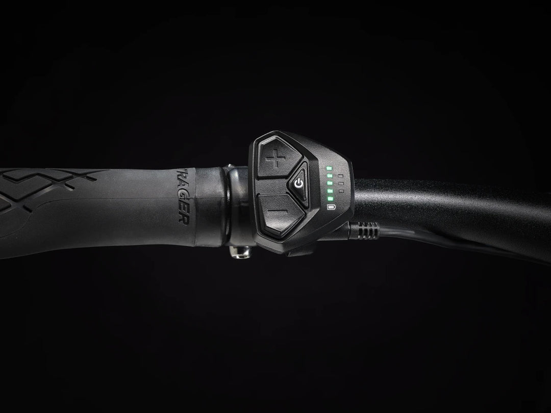 Trek Dual Sport+ 2 Stagger LT 2025