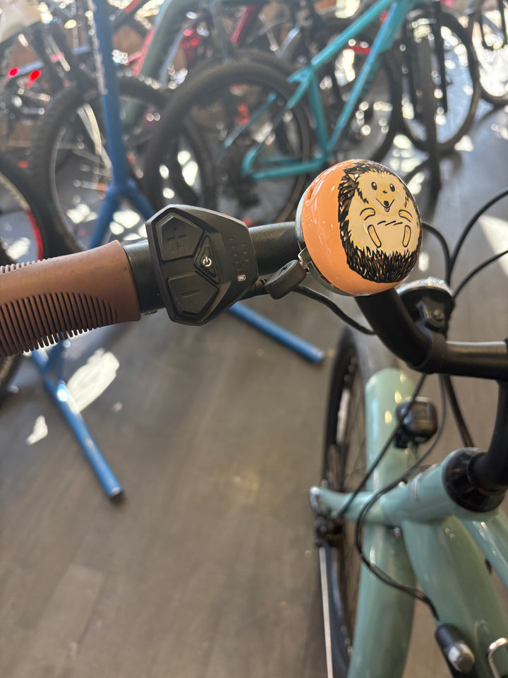 Approved Used Electra Townie Go! step Thru 2024