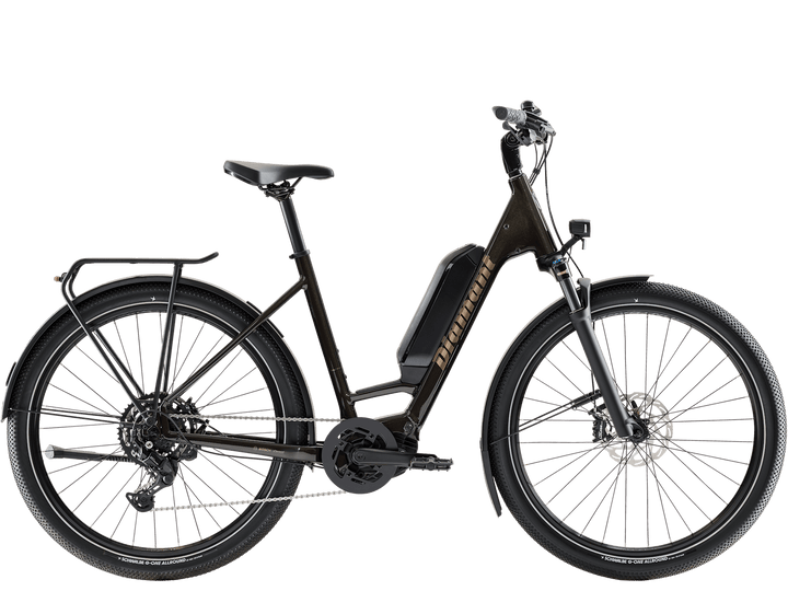 Diamant Zing Trip Core.II 540 2027 — All Ride Now