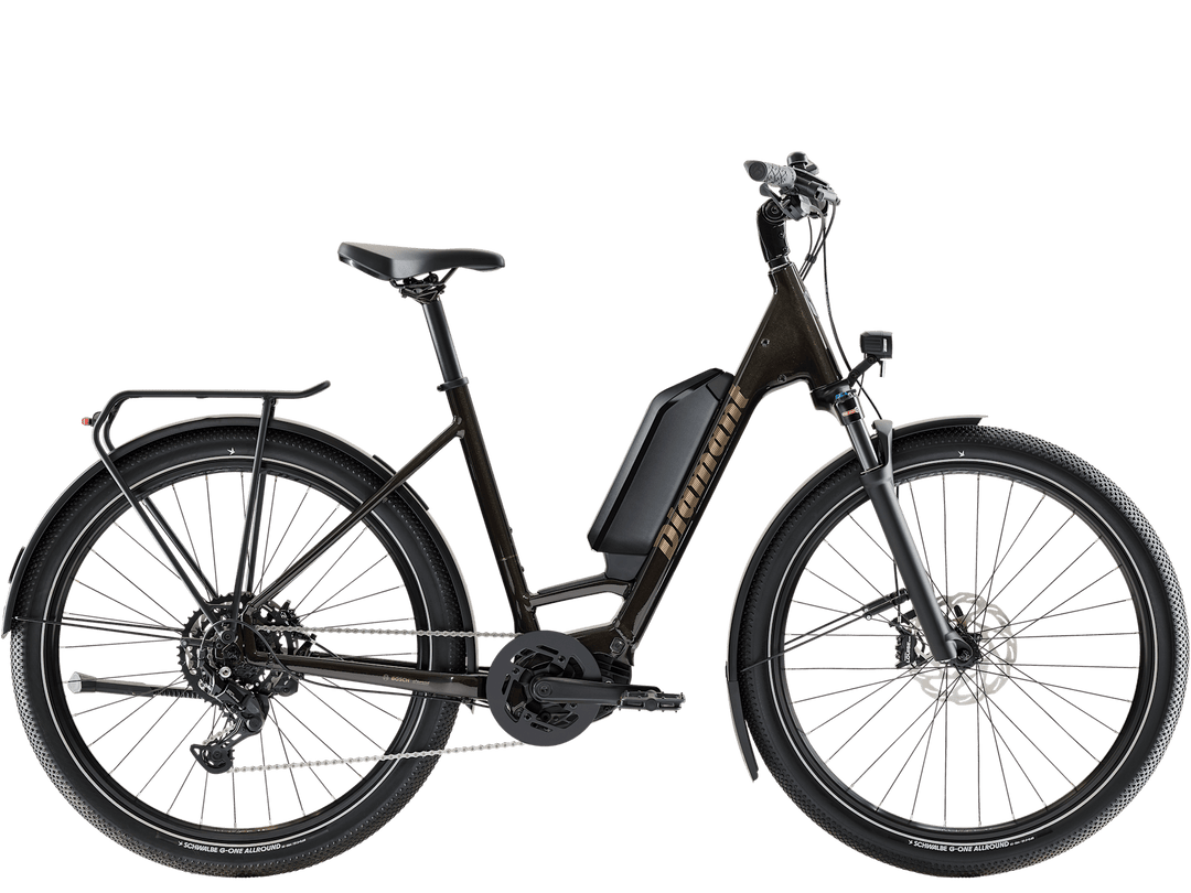 Diamant Zing Trip Core.II 800 2027 — All Ride Now