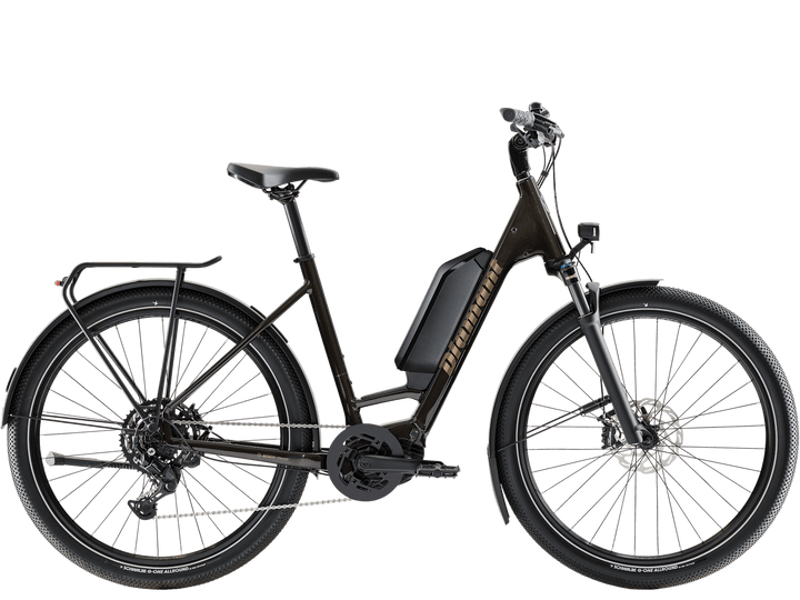 Diamant Zing Trip Core.II 800 2027 — All Ride Now